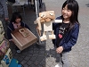 110416earthdayOK3sobue032.JPG