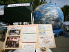 as_09.04.18_0660.JPG