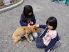 110416earthdayOK3sobue085.JPG