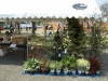 P4160043.JPG