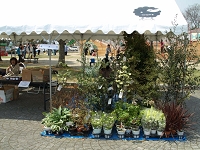 P4160043.JPG